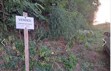 Terreno edificabile