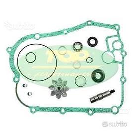 Kit revisione pompa acqua kymco xciting 400