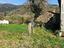 Immagine 27