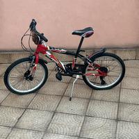 Bicicletta ragazzo