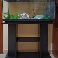 Acquario + porta acquario