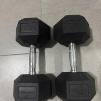 Manubri DIAMOND 20 Kg