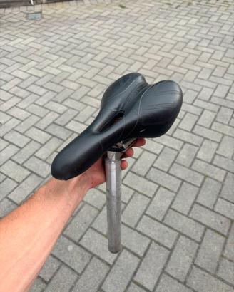 sellino confort mountain bike