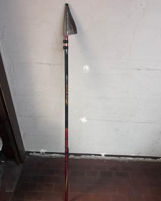 Canna shimano fireblood