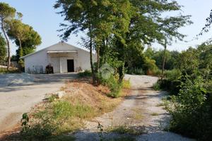 CAPANNONE A SAVIGNANO SUL RUBICONE