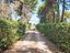 Immagine 28