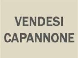 Capannone a San Giovanni in Marignano, 2 locali