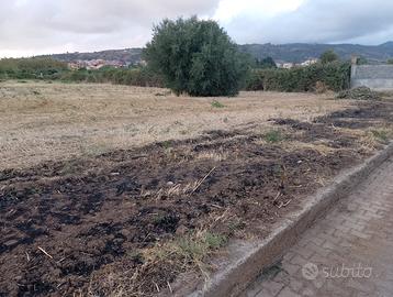 Terreno agricolo pianeggiante