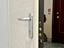 Immagine 28