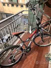 bici bambino o donna