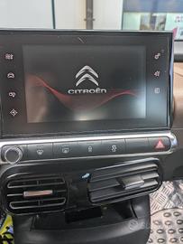 C4 cactus