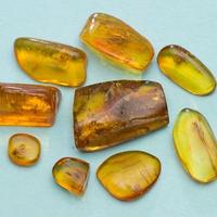 Ambra baltica levigata con inclusioni V lotto