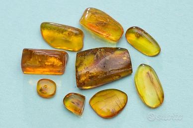 Ambra baltica levigata con inclusioni V lotto