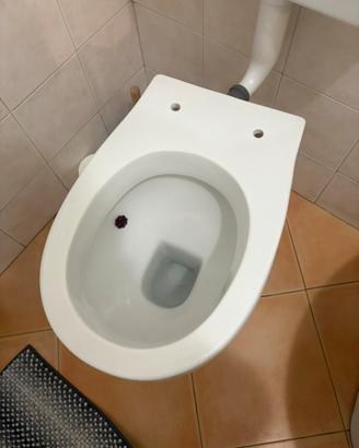 WC e Bidet