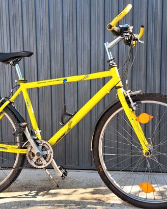 Bici Mountain Bike