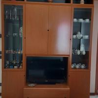 mobile tv