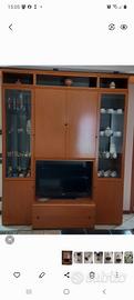 mobile tv