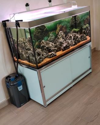 Acquario