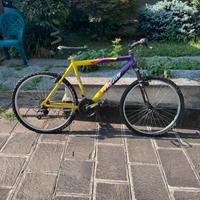 Mountain bike  Frejus mai usata