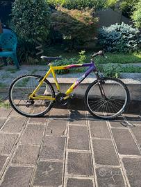 Mountain bike  Frejus mai usata