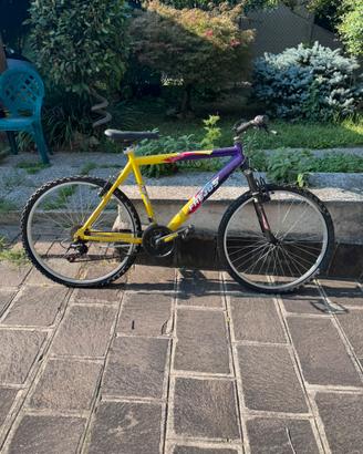 Mountain bike  Frejus mai usata
