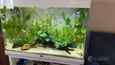 Acquario completo