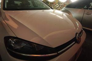 Volkswagen Golf VII 1.6 TDI 115 CV modello 2020