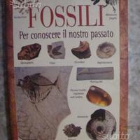 FOSSILI.Per conoscere il nostro passato / R.Zorzin
