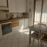 Stanze singole in appartamento condiviso