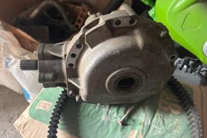 Differenziale polaris