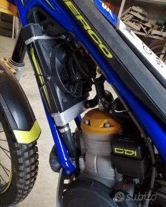 sherco 300