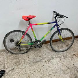 Bicicletta mountain bike