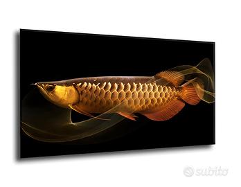 Quadro Stampa su Tela Arowana Gold 70x120 cm