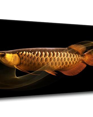 Quadro Stampa su Tela Arowana Gold 70x120 cm