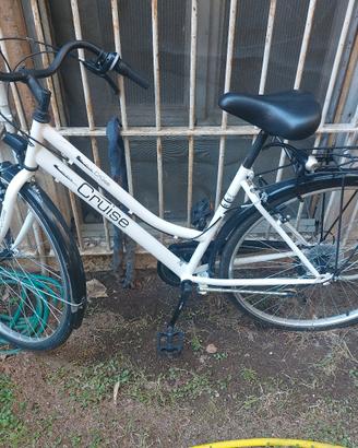 bicicletta donna