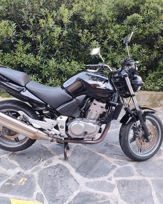 Honda CBF 500 