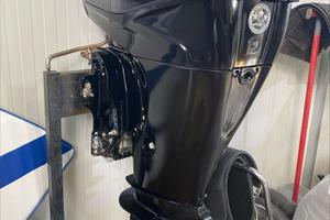 MERCURY F40 EFI PRO (40/70)