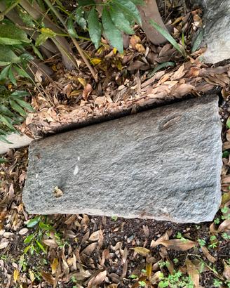 Pietra per giardino