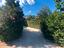 Immagine 7