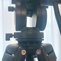 Treppiede Video Professionale Testa Fluida PRO