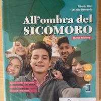All’ombra del sicomoro