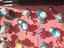 Immagine 5