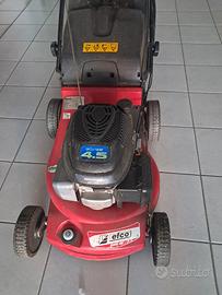 RASAERBA EFCO
