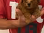Immagine 4