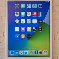 Apple iPad mini 5 WIFI 256 GB