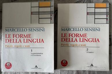 Libri biennio superiori grmmatica e lessico