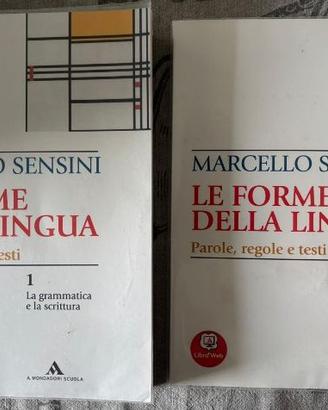 Libri biennio superiori grmmatica e lessico