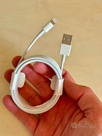 Cavetto iPhone USB-A a Lightning