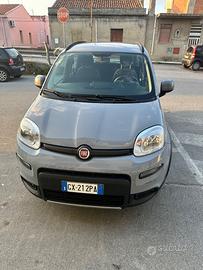 Panda hibrida