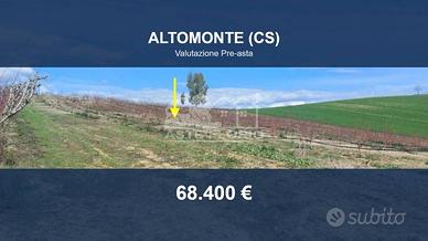 Immobile in asta di 51760 m² a Altomonte